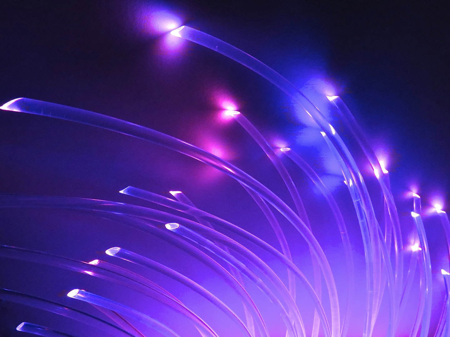 end-glow optical fiber, up close